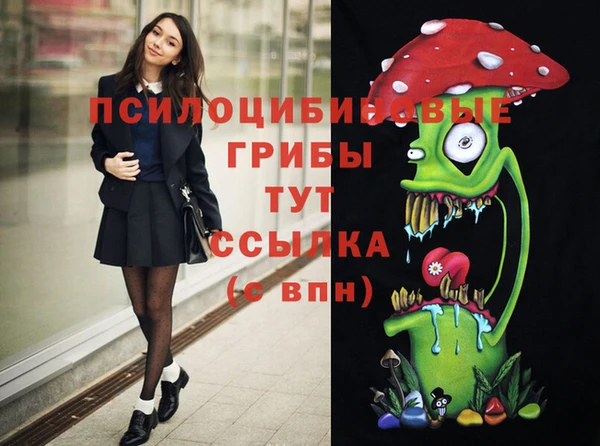 метадон Новозыбков