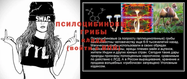 MDMA Новодвинск