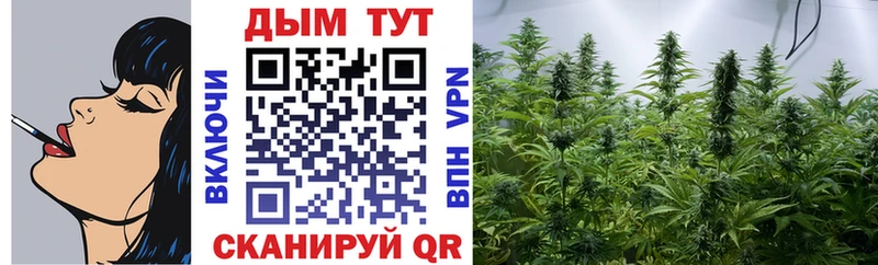 Купить  Шахты  Шишки марихуана VHQ 